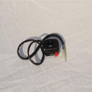 Domino Kill Switch